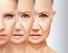 GERIATRIC DERMATOSES