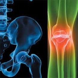 SKIN AND MUSCULOSKELETAL DISEASES